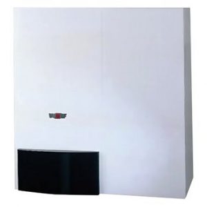 Котел газовый Wolf CGW- 20/120 22 кВт для отопления